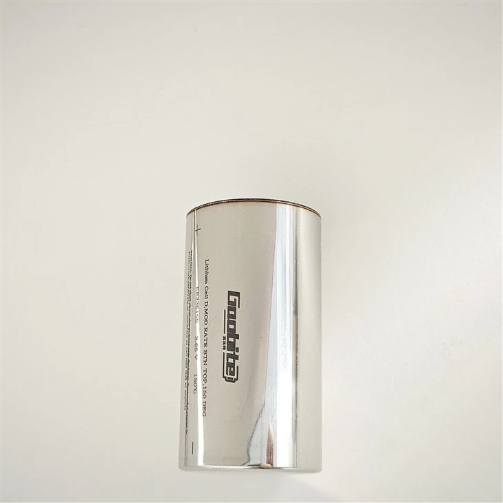 Batterie al litio D-cell